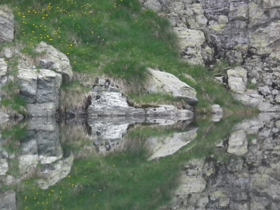 Riflettendo sul lago Avert